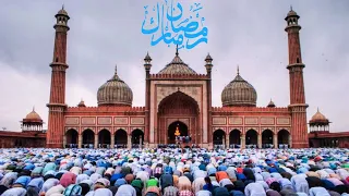 Ku Raaxayso 2 Rakcadood Oo Kamid Ah Salaadda Taajudka Xalay Iyo Qaari Cod Mcn Quraanka Ku Akhriyay 