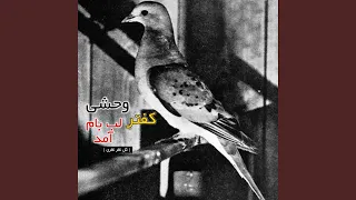 کفتر وحشی لب بام آمد 