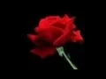 Download Lagu Tiang demen - Dek Ulik