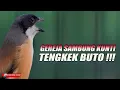 Download Lagu CENDET GACOR CUKUP 3 MATERI SIAP JADI JUARAAA NASIONAL