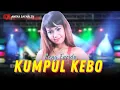 Download Lagu Reny Farida - Kumpul Kebo (Official Music Video)