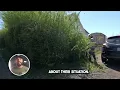 It Swallowed His House... We Offered to Cut It For Free!