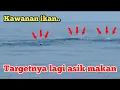 Lagu Kawanan ikan ini keciduk saat lagi asik menyantap makannya
