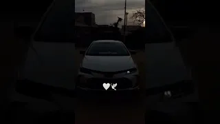 بعدك بقى قلبي خبير آلام ضيعت 20سنه قدام 