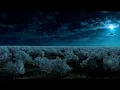 Download Lagu The Best Music To Relax Your Brain And Sleep, Calm Your Mind ★︎ Sleep Instantly Within 5 Minutes