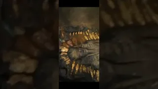 مقبره فرعونيه ٣٠ متر تحت الارض 