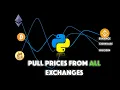 Get crypto prices from MORE than 100 different exchanges with Python CCXT Arbitrage Series