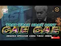 Download Lagu DJ DONT CAE CAE VERSI EDI SOUND HOREG🔥 BASS BIKIN TETANGGA MARAH MIDEL OKROK OKROK