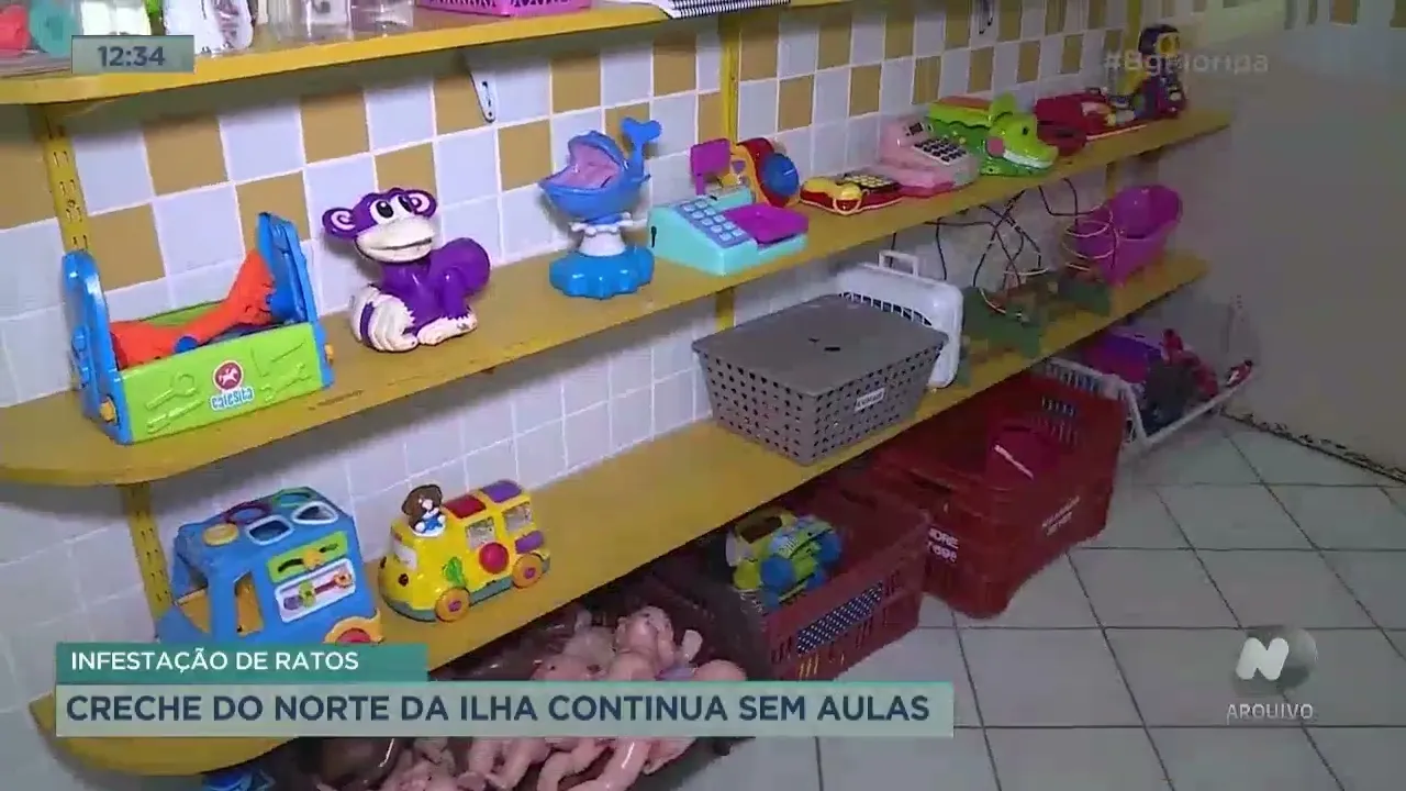 Creche de Florianópolis infestada por ratos continua sem aulas; veja o que se sabe