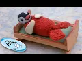 Download Lagu Pingu is Jealous of Pinga! | Pingu Official | Cartoons for Kids