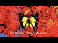 Download Lagu Ed Sheeran - 2step (feat. 1.Cuz) [Official Audio]