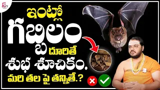 gabbilam intloki vaste doshama subhas sharma about bats sumantv life