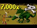 I collected 7 000 dragon bones Wildy or Myth s Guild GIM