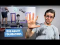 The Secret to PERFECT Startline Stays for Dog Agility
