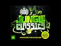DJ Fresh Feat. Sian Evans - Louder (Drumsound & Bassline Smith Remix)