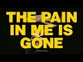 Demon Hunter - The Pain In Me Is Gone (traducido al español)
