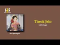 Download Lagu Tiwok jelo Erni Ayuningsih - lirik lagu