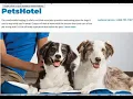 2nd Interview at Petsmart