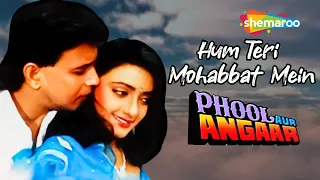 hum teri mohabbat mein phool aur angaar 1993 audio song mithun chakraborty shantipriya