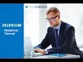 Selenium Webdriver tutorial Selenium Tutorial Techcanvass