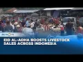 Download Lagu Cattle Markets in Indonesia Thrive Ahead of Eid al-Adha