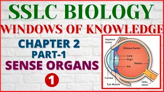sslc biology windows of knowledge part 1 chapter 2 sense organs eye english medium kerala sslc