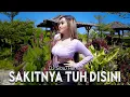 Download Lagu Sakitnya Tuh Disini - DJ Goyang Goyang | DJ Slow Remix | Paprinka