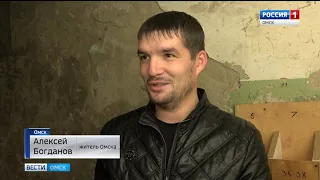 Крысы, тараканы и бездомные собаки стали соседями жителей дома по улице Магистральная