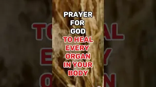 PRAYER FOR HEALING OF EVERY ORGAN IN YOUR BODY