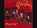 4 Non Blondes - what's up (dance mix)
