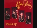 4 Non Blondes - what's up (dance mix)