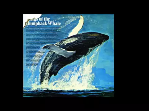 Download MP3 Songs Of The Humpback Whale - by Dr. Roger Payne