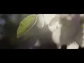Will Samson - Lacuna (Original Cassette Version)