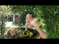 Download Lagu Doing some heavy Household labour || Mukbang with local vegetables ,mushroom \u0026 chutney 