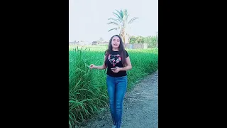 انت الربان  روجينا القمص دندنها