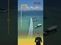 Download Lagu Bawean Island – Deer Island in the Java Sea #shortsviral #videoviral #travel