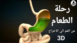اول رحلة داخل الجهاز الهضمي بشكل 3D كأنك داخل البطن و القولون دروس طبية  اول رحلة داخل الجهاز الهضمي بشكل 3D كأنك داخل البطن و القولون دروس طبية