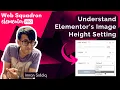 Elementor - Understand Elementor s Image Height Setting