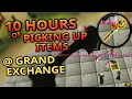 I Picked Up Items At The Grand Exchange - For 10 Hours