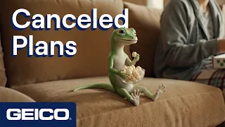 Cancelled Plan | GEICO Insurance