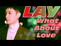 Download Lagu LAY - What About Love (Lyrics) مترجمة