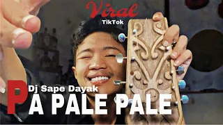 dj pa pale pale pale x sape dayak kane reformanda ft rahmat tahalu
