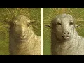 Download Lagu The Art Restoration that Shocked the World