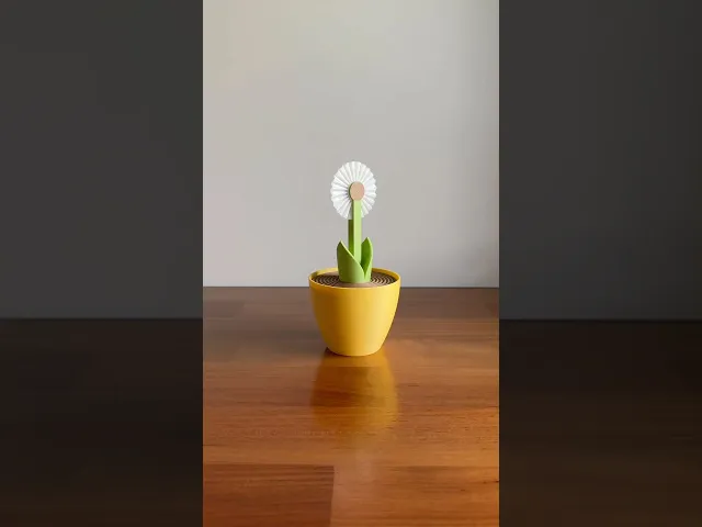 Dandelion, pasta wheel cutter. video thumbnail
