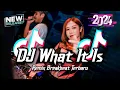 DJ What It Is Breakbeat Remix Full Bass Tiktok Fyp Viral Version 2024