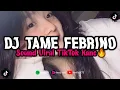 Download Lagu DJ TAME FEBRINO X TERENA || MENGKANE VIRAL TIKTOK TERBARU