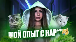 МОЙ ОПЫТ С НАР🐈🐈🐈