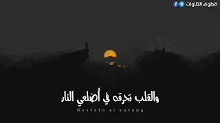 الشيخ نصر الدين طوبار    دموع العين جاريه دندنها