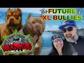 THE NEXT BIG THING IN XL AMERICAN BULLIES Breeder Interview Top Dogs