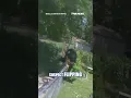 Suspect LOSES PANTS in wild police chase